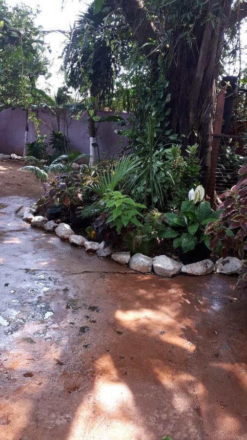 Apartamento Flia Ocampo